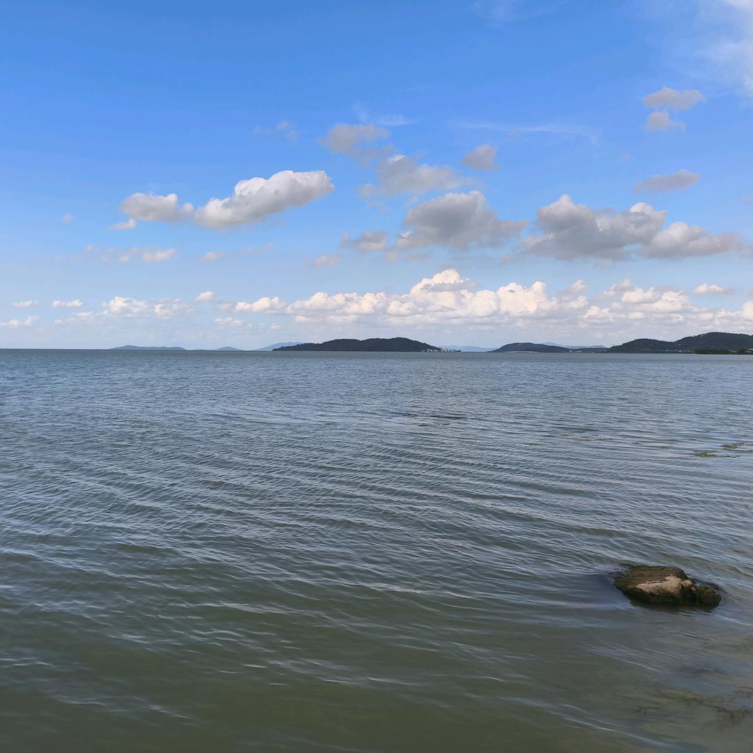 河南对口计算机提分