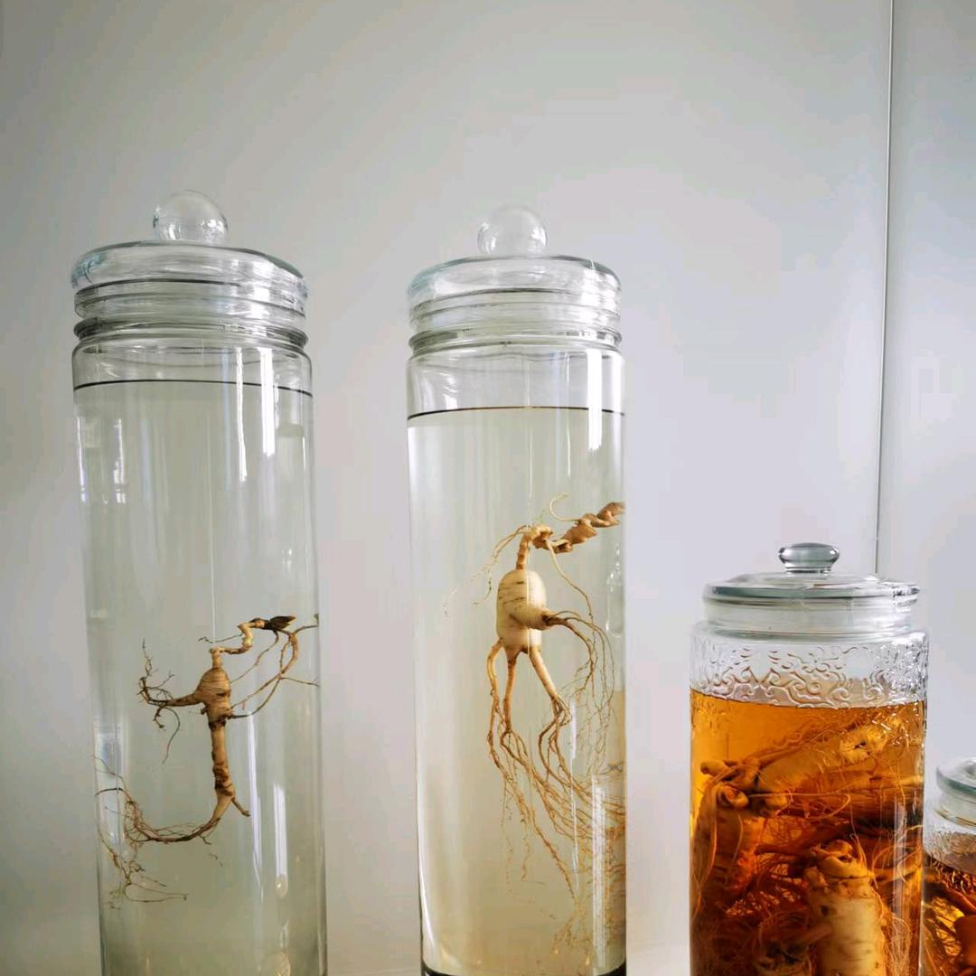 花田月下①神农