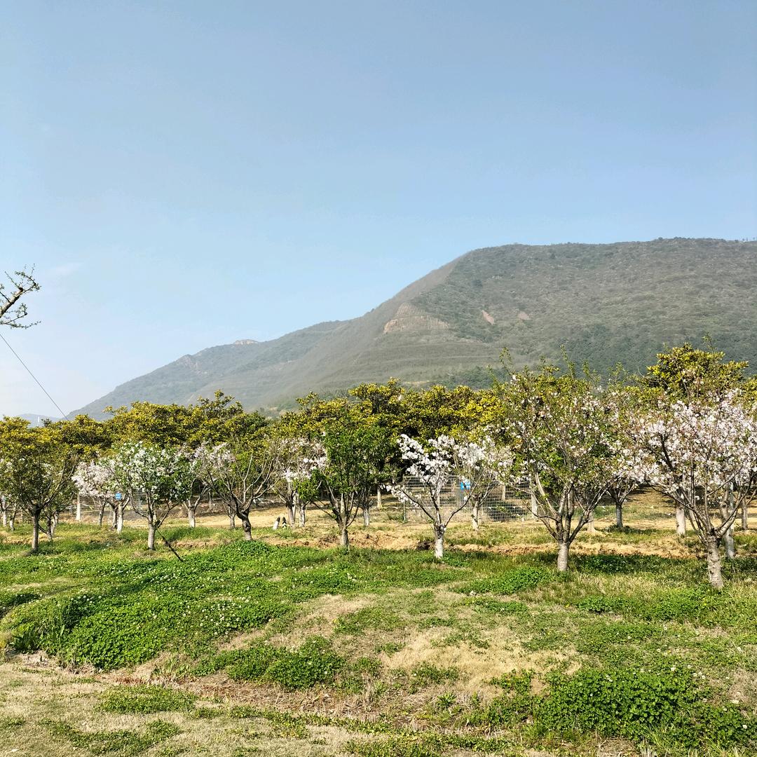 大阳山下