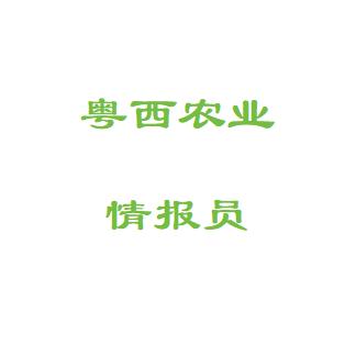 农技小朱