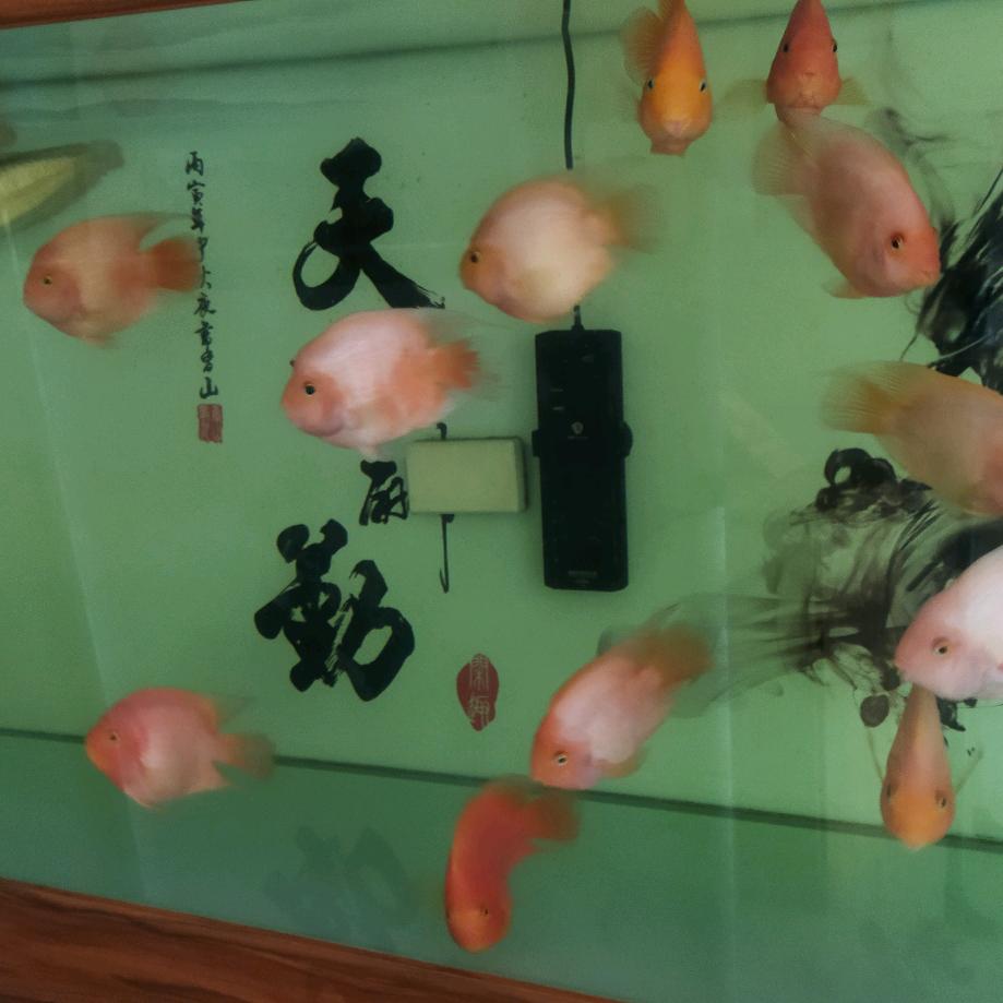 我是凡人