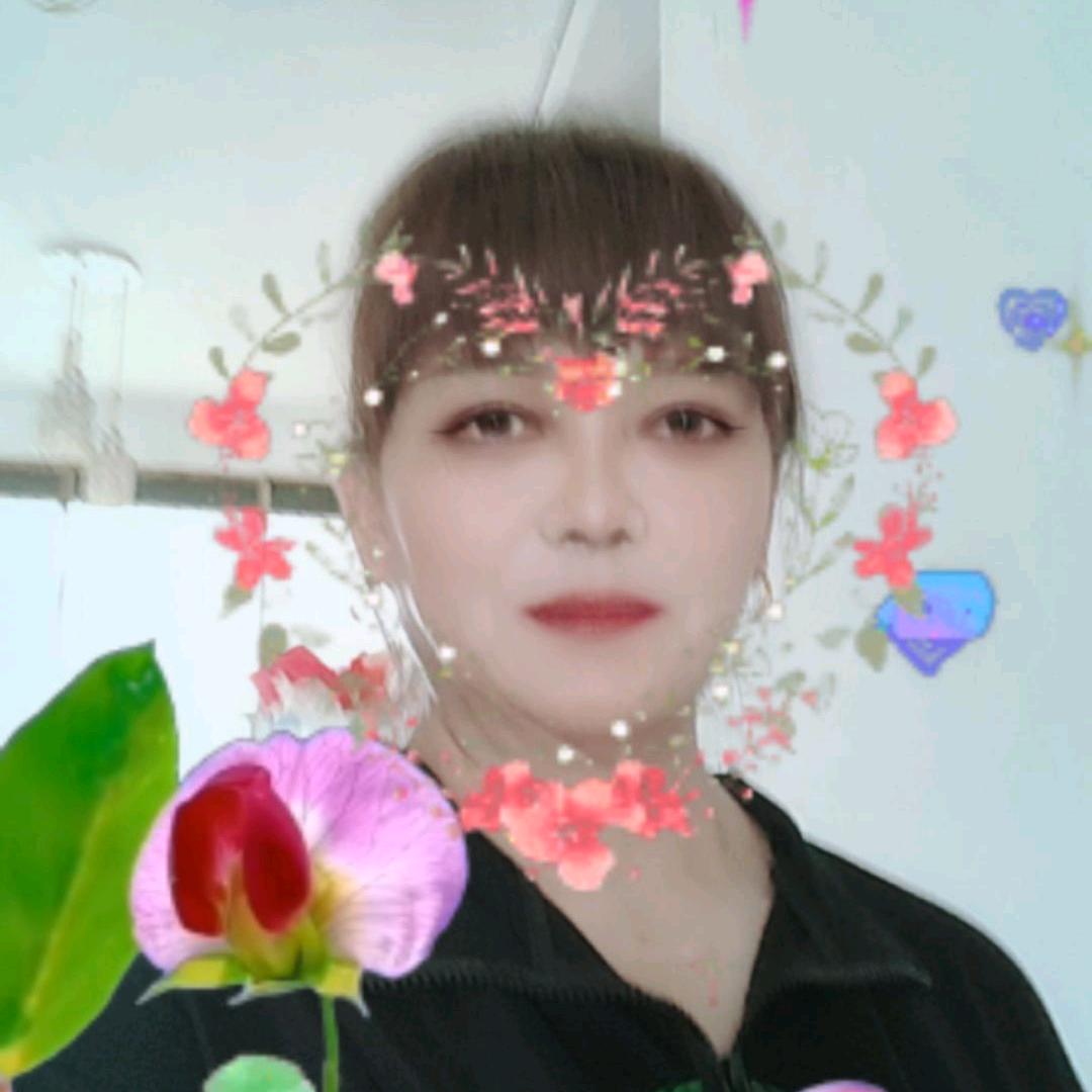 柒七