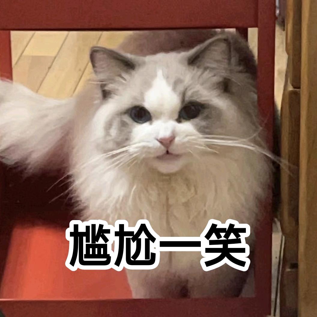 鸡毛掸子老馋了🐱