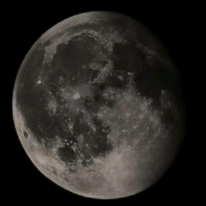 猜猜我在干什么