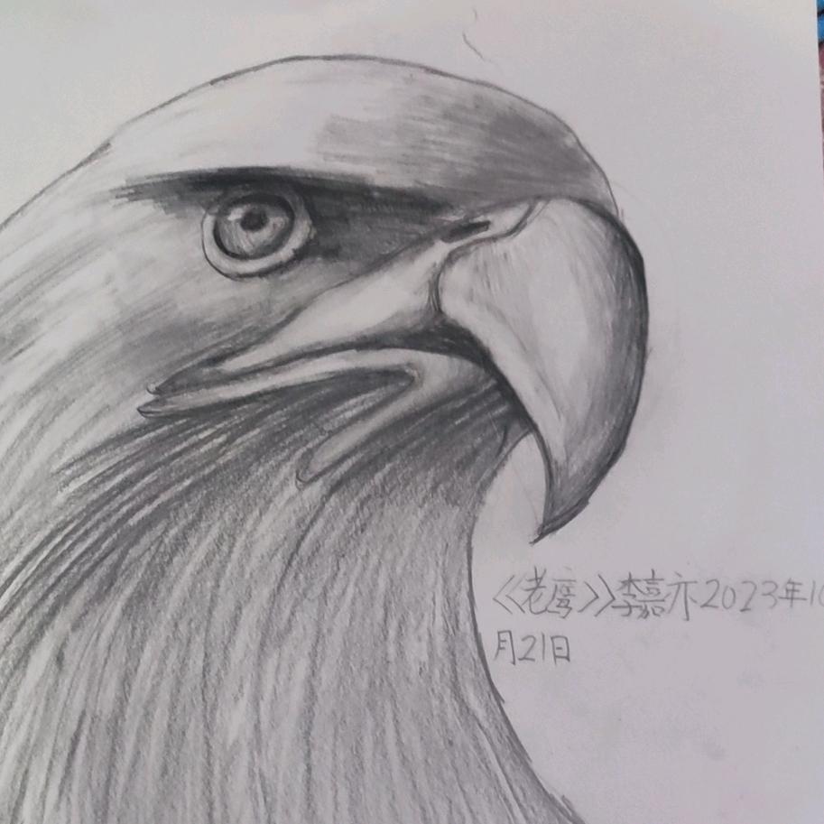 笑林风封