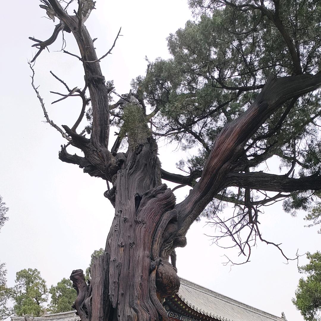 旺盛全新库存音响