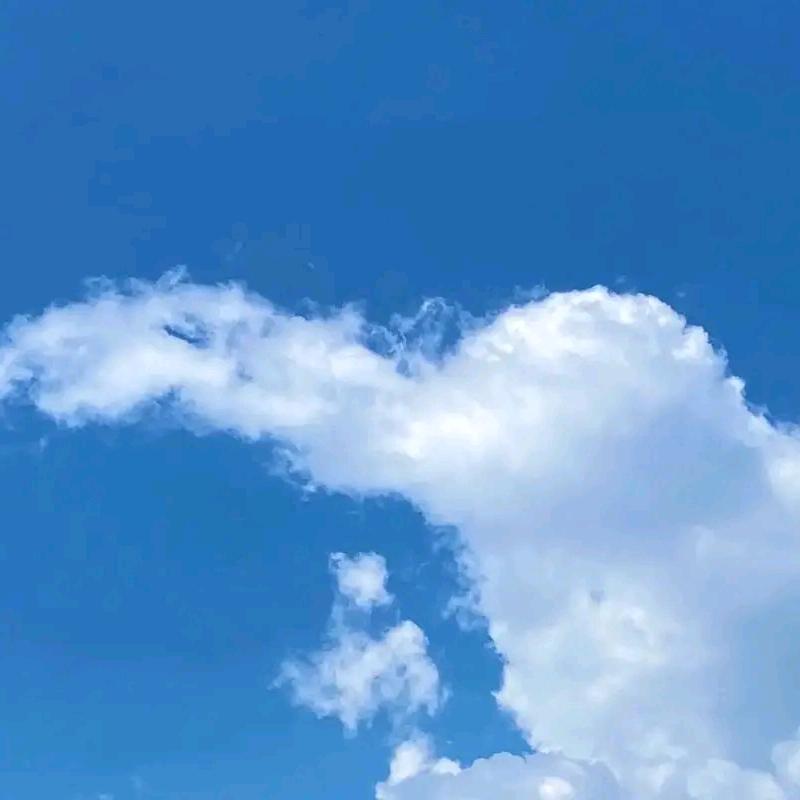 老虎钳子