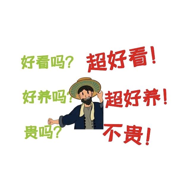 好看好养绿植基地