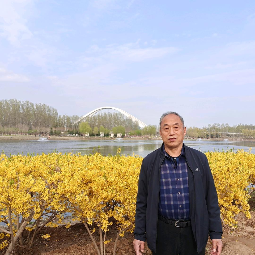 老来乐乐