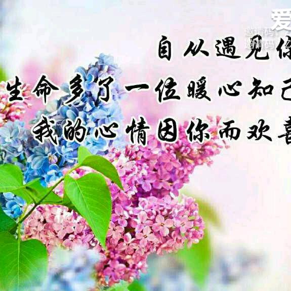 为了后半生而努力