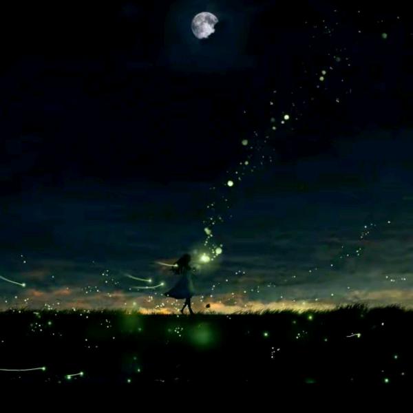 @战（顶峰相见）