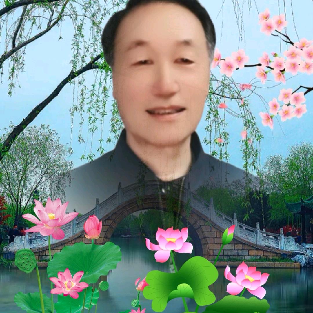 老万🌺