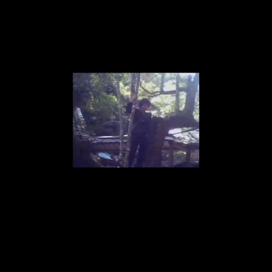 新泰源贸易有限公司周海诚