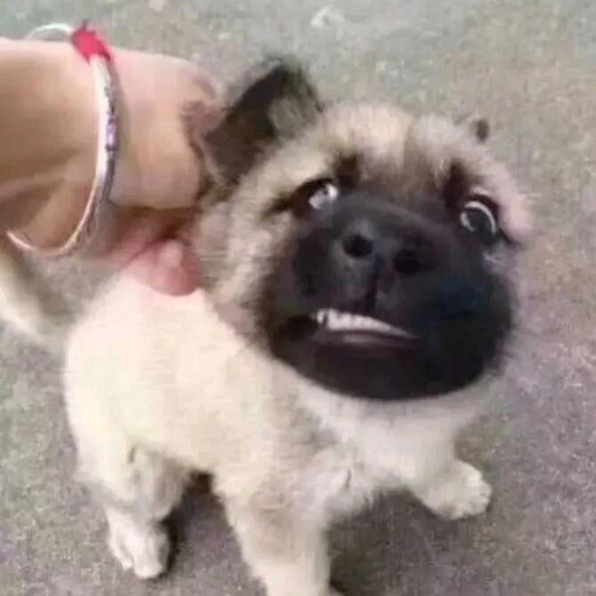 程诚