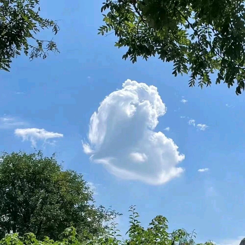 奔放的青春