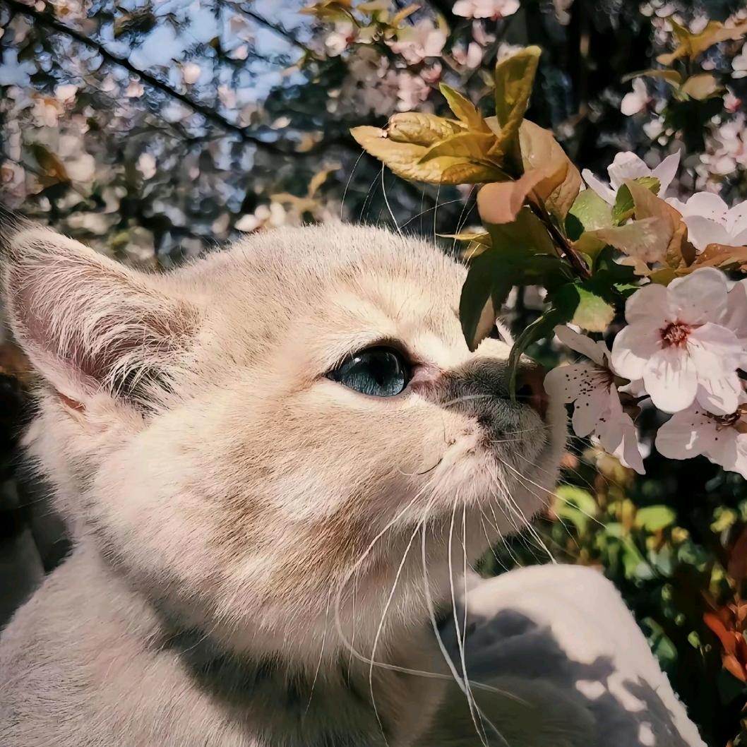 px