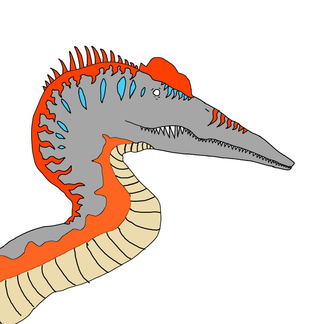 背利亚（代言脊背）