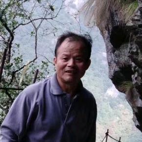 智若