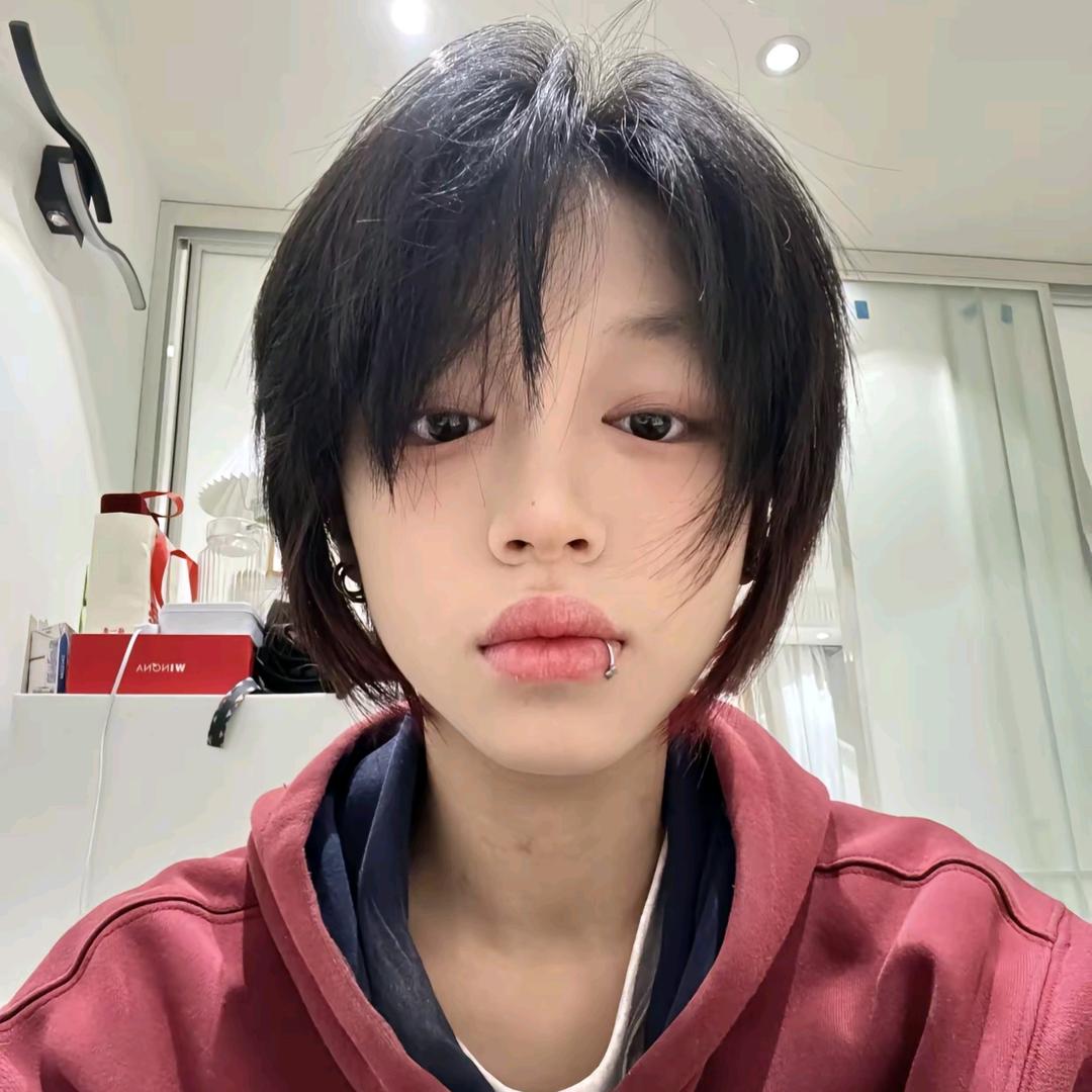 鲨鱼鳍