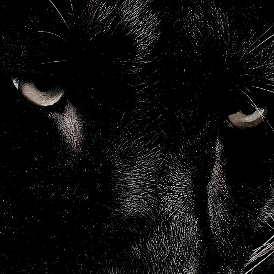 七千万（无畏契约白银糕守）