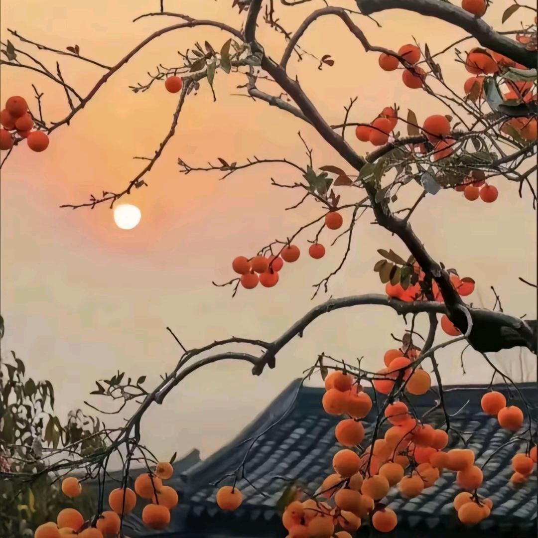 时光清浅(*^▽^*)