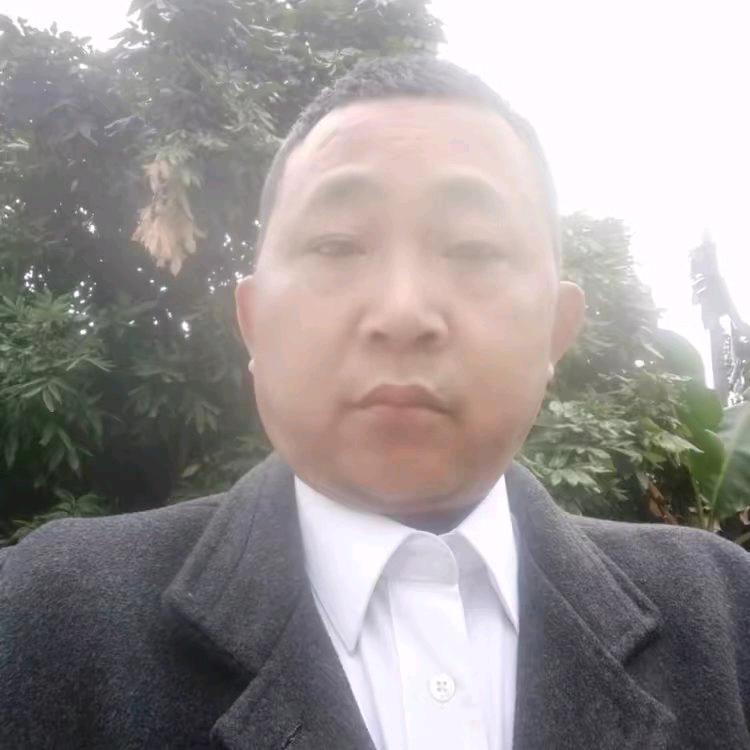 琴无缘