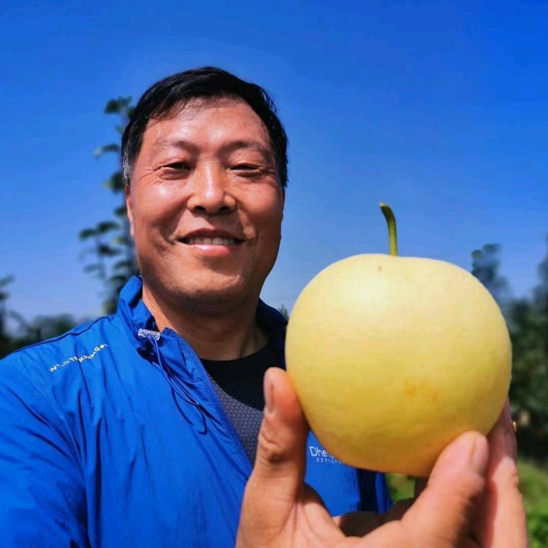 酵科农果业