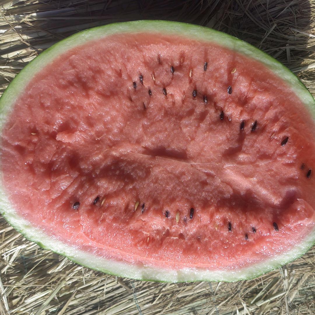 🍉枣果业