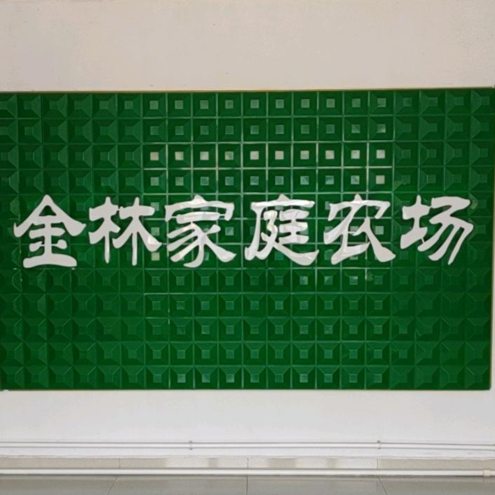 寿光金林清洁炉具