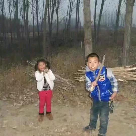 人生苦短及时行乐