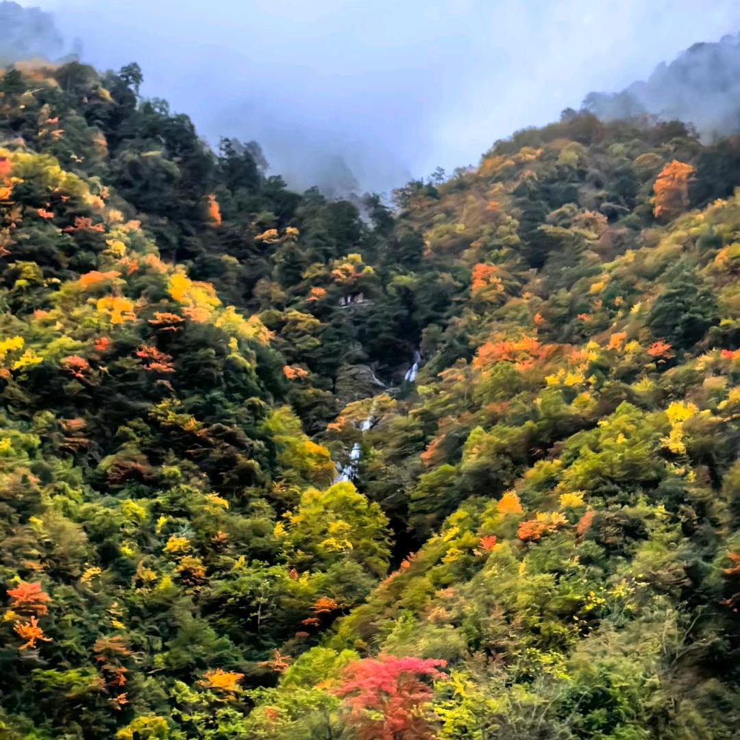 凉鸡肉温泉民宿