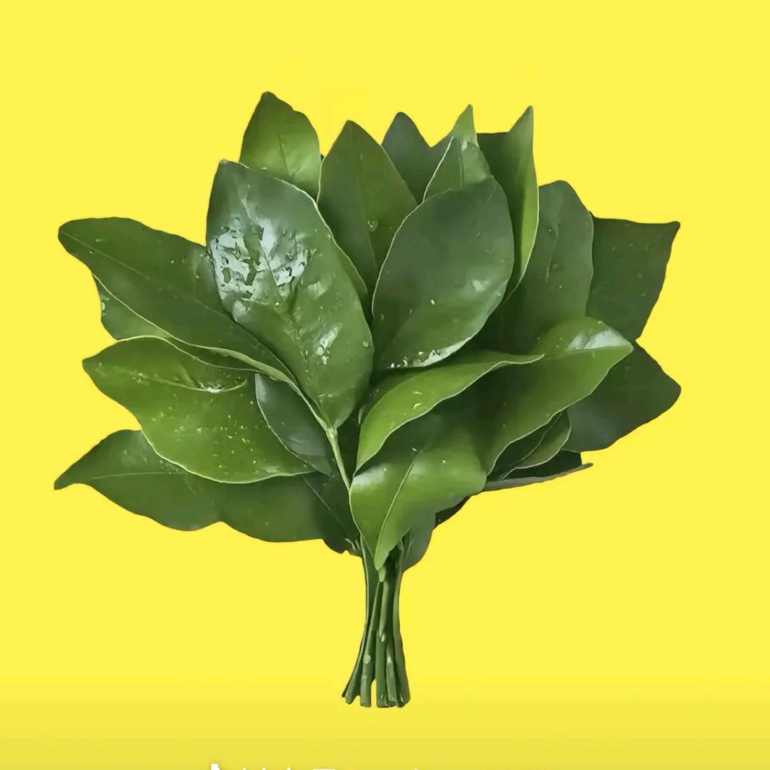 悦悦乖呦