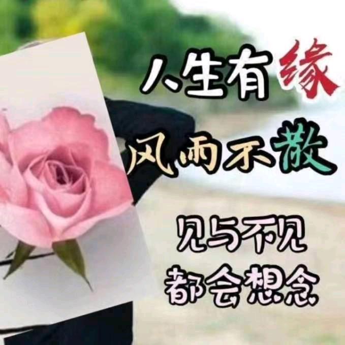 惜缘家政（成都）