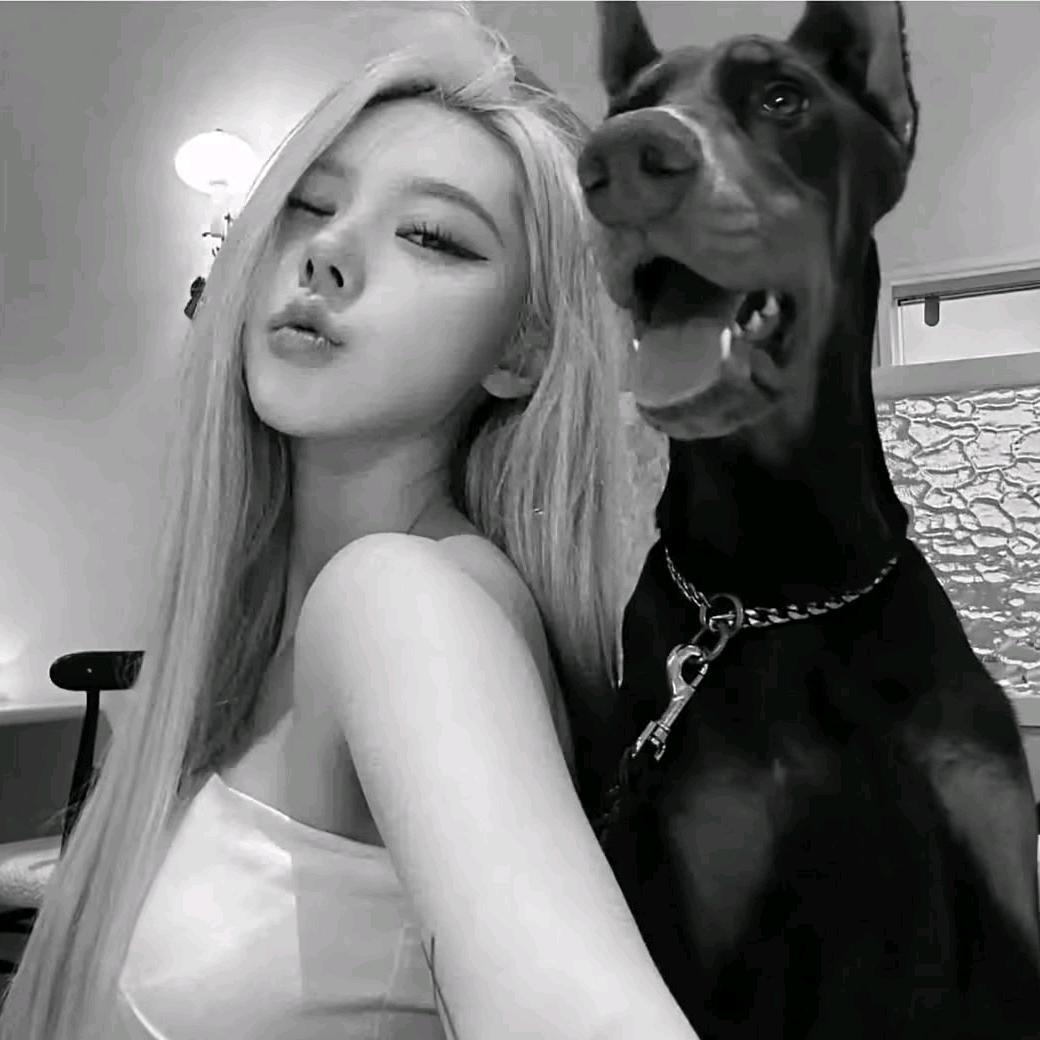 灰太狼