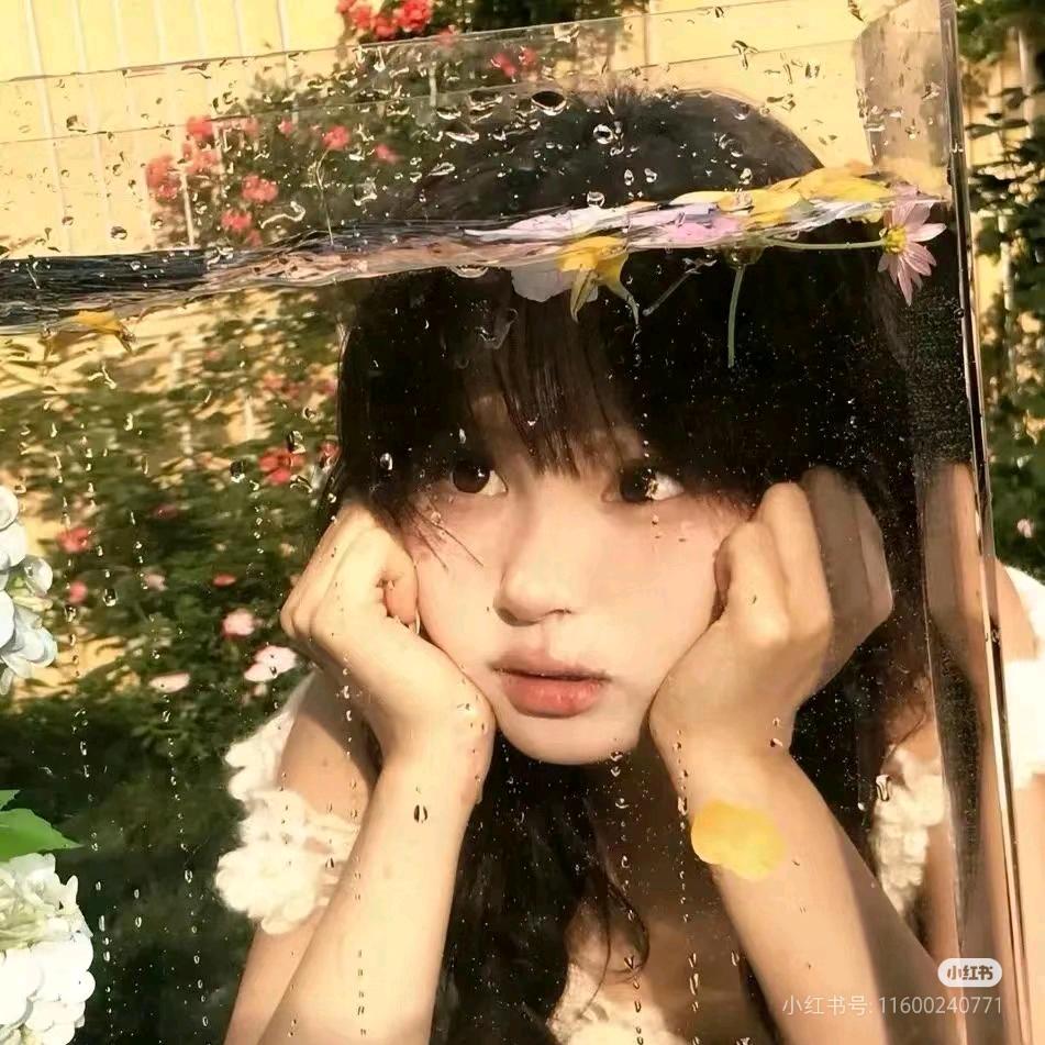 我的猫不爱我