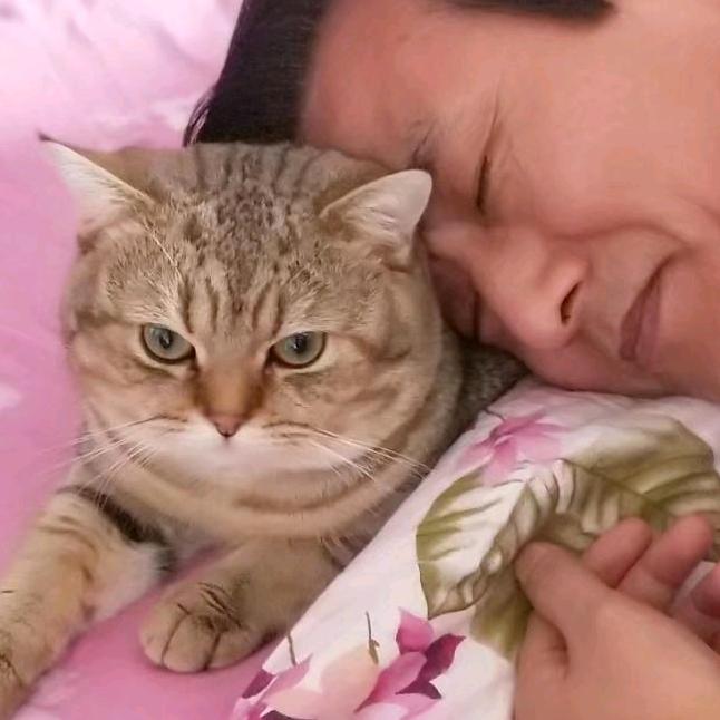 媛