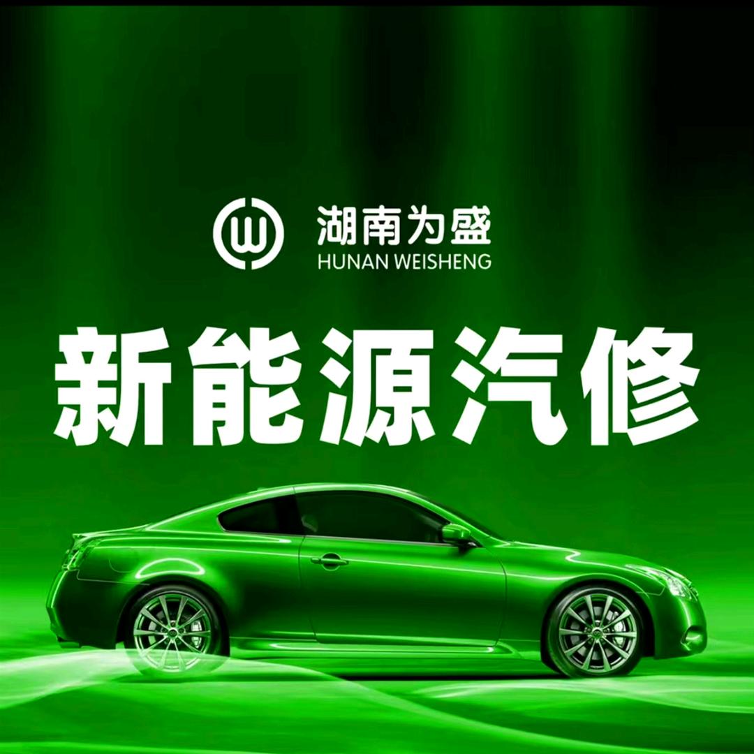 为盛新能源车服(衡阳瑞晗店)