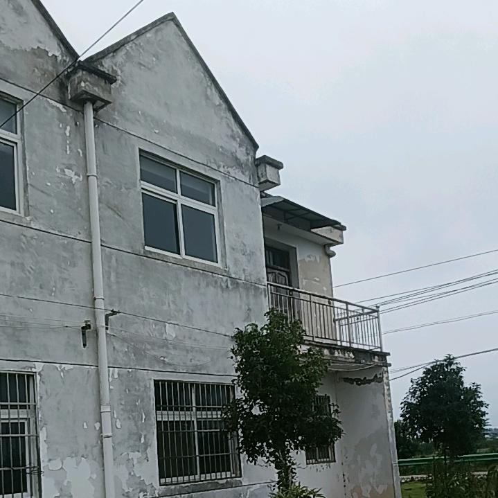 王尖尖