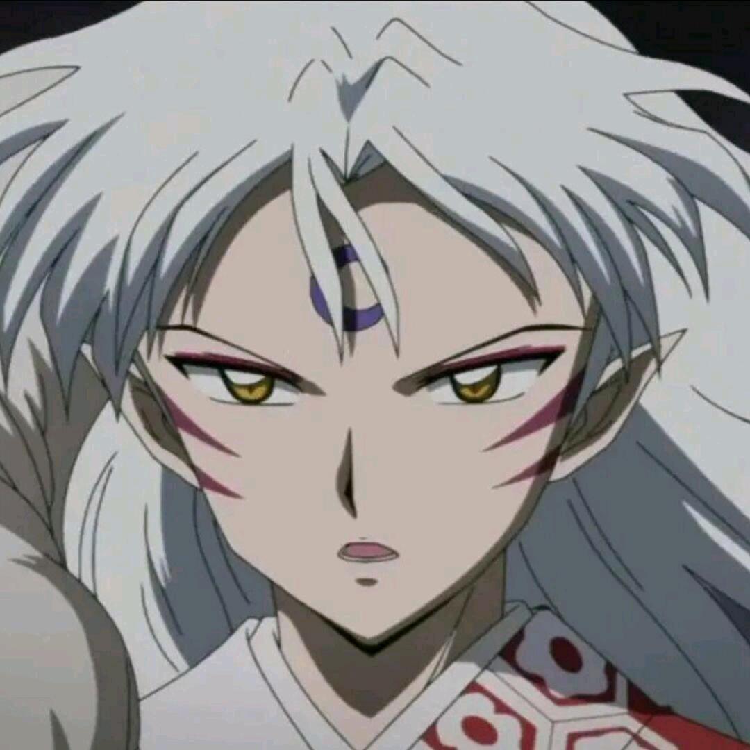 杀生丸子