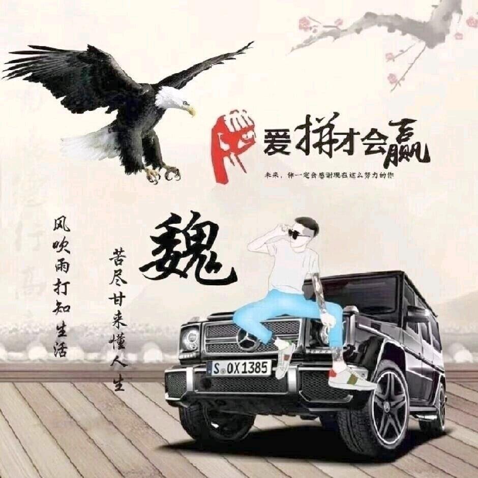 魏少华
