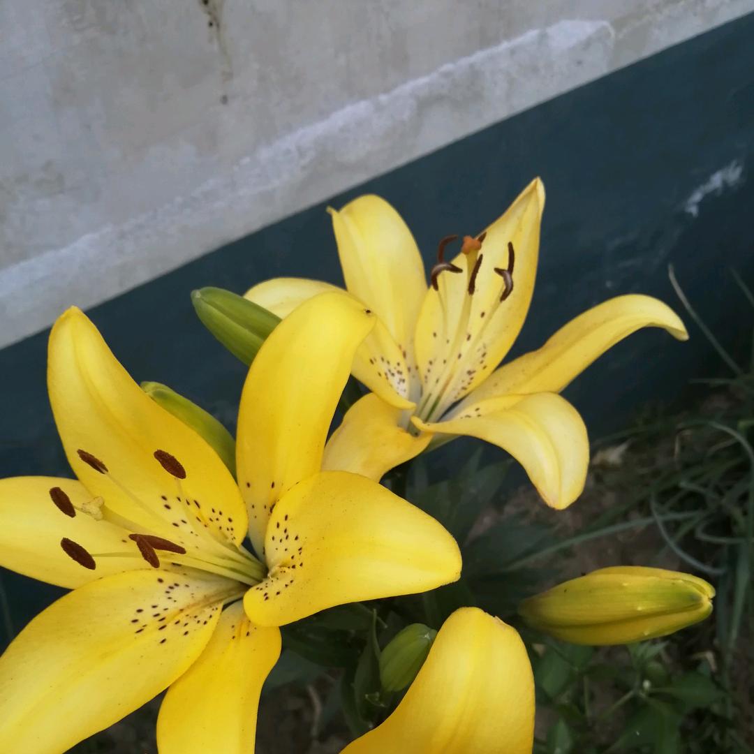 财源广进