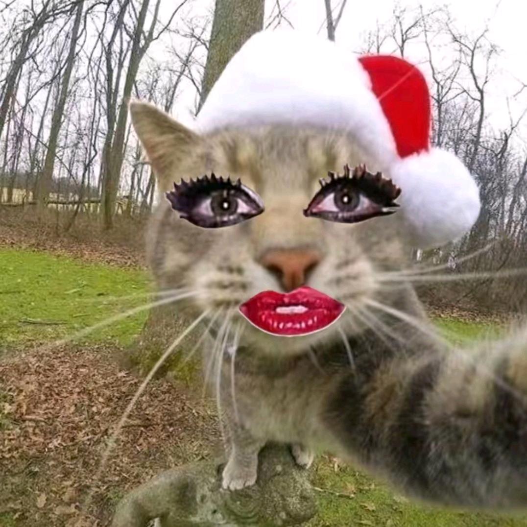 谢聪聪（没母版）