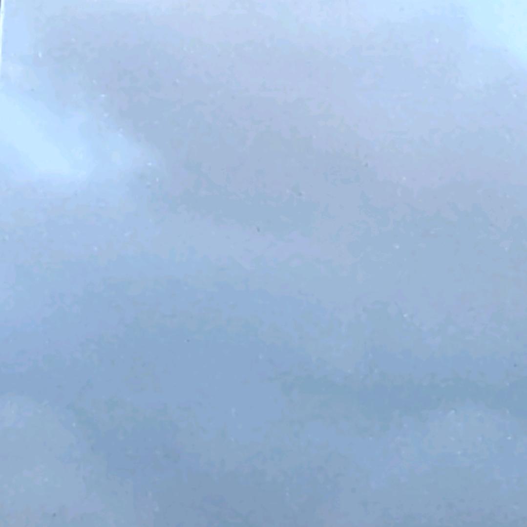 森林