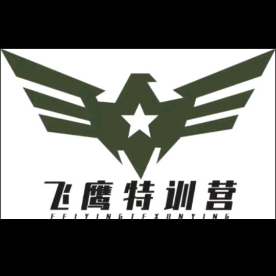 飞鹰特训夏令营