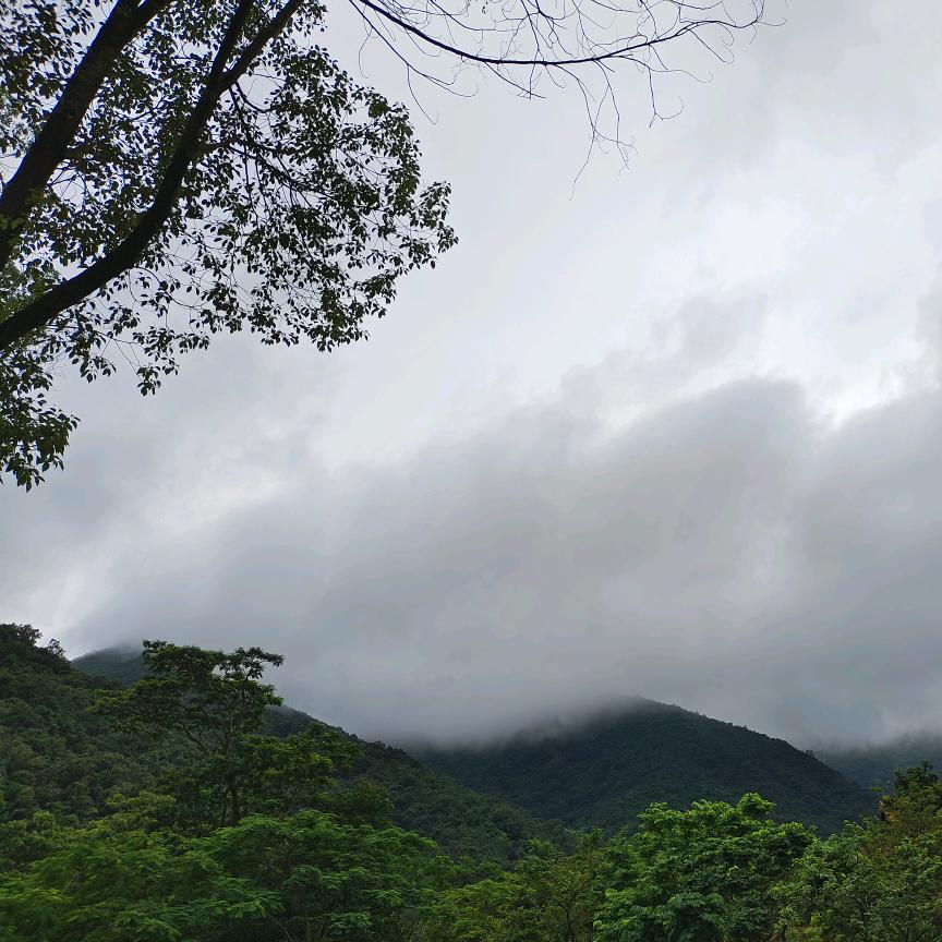 半生风雨半身伤，半句别恨半心凉