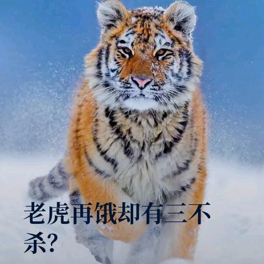 陌生的有缘人  🚬  🚬