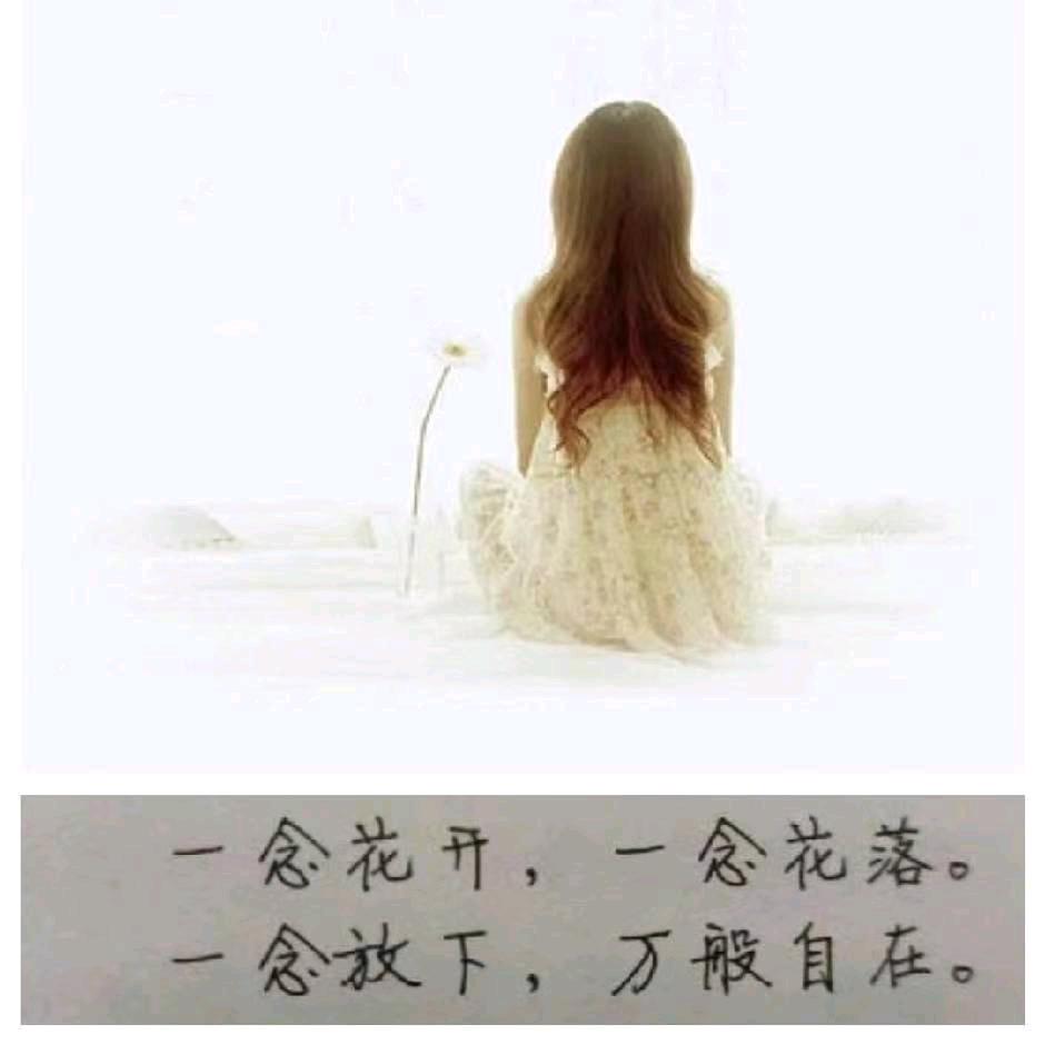 自在@花开