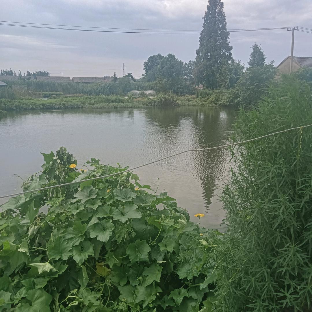 舍得你舍不得自己