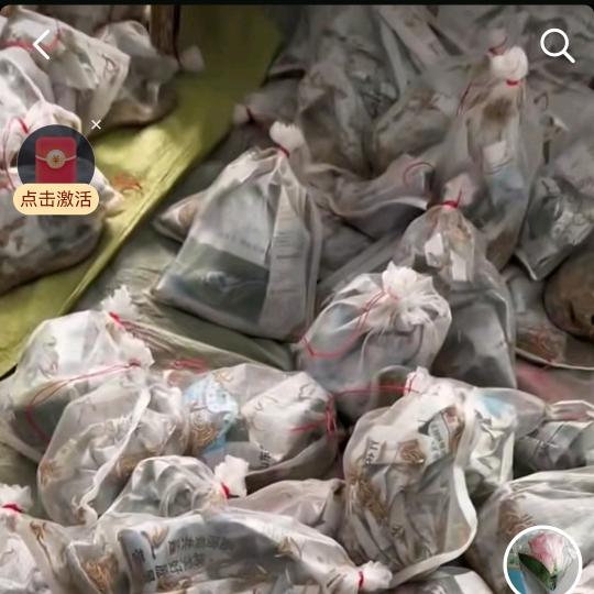 面包虫基地批发