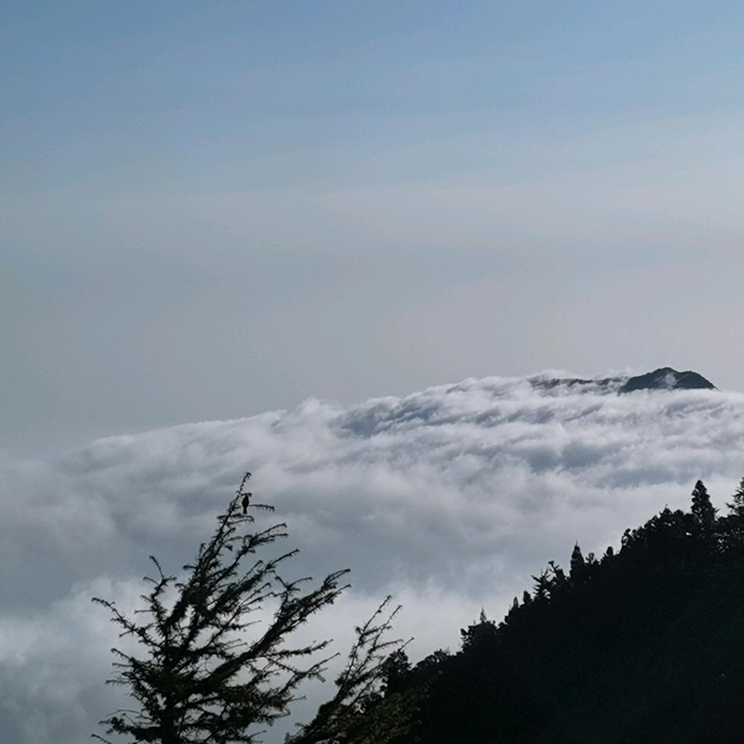 秋水不染尘
